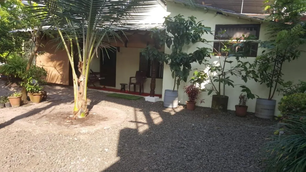 George Brooks Homestay アーラップーザ県